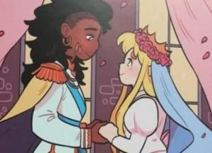 Принцесса + принцесса: Минкульт закупил более тысячи книг о девушках-лесбиянках для детских библиотек