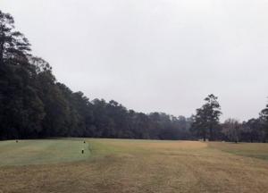 В США на поле для гольфа нашли могилы рабов