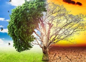 Ученые выяснили, каким будет климат Земли через несколько лет