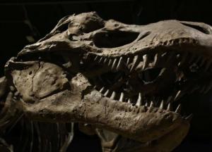 Археологи обнаружили скелет огромного ящера