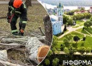 Киян стурбували плани зрізання дерев на історичних пагорбах