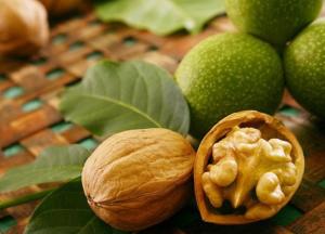 Врачи назвали орех, который защитит от инфаркта