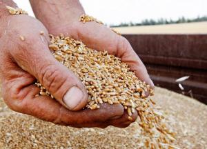 Украина обновила рекорд по экспорту зерна