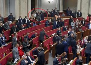 Депутаты устроили драку в Верховной Раде (видео) 