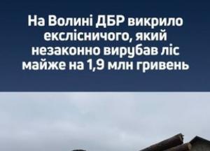 Екслісничого підозрюють у незаконній вирубці лісу на Волині на 1,9 мільйона гривень