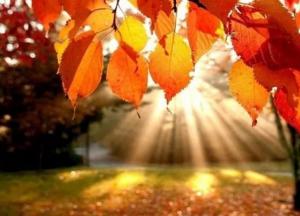 Прогноз погоды на 27 октября: туманы и тепло окутают Украину