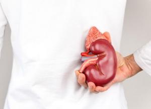 7 признаков нездоровых почек