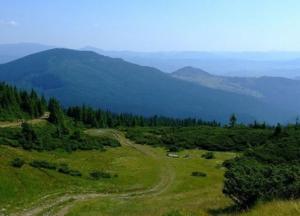 На Прикарпатье нашли тела двоих грибников