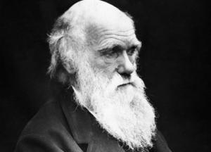 Ученые опровергли одну из теорий Дарвина