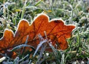 В Украине похолодает до -12