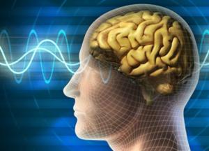 Медики назвали худшие привычки для работы мозга