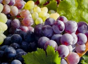 Названа ягода, которая улучшает кровообращение и укрепляет сердце