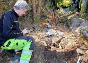 В Швеции нашли уникальный клад возрастом 2500 лет (фото)