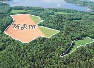 Лимит земли "в одни руки" может быть пересмотрен - Разумков