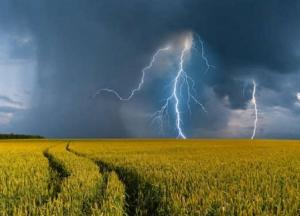 Прогноз погоды на 19 июня: Украину ожидает жара, грозовые дожди, местами град