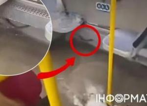 Тролейбус-джакузі: Київпастранс пропонує «водні процедури» замість комфорту