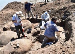 Фермер нашел останки вымерших 10 тысяч лет назад глиптодонов (фото)