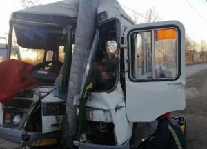 На Житомирщине автобус влетел в столб, есть жертвы (фото)