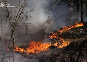 Біля Чорнобиля поширилася масштабна пожежа, найскладніша ситуація на березі Прип’яті