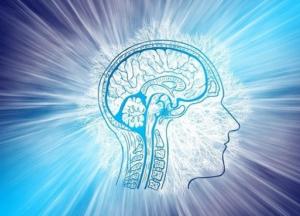 Найден простой способ улучшить работу мозга
