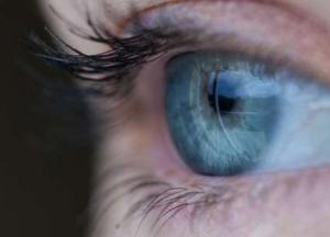 Японские ученые нашли способ определять приближение смерти