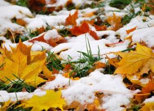 15 ноября: какой сегодня праздник и что нельзя делать 