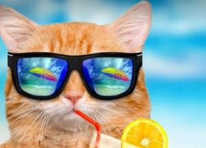 Прогноз погоды на 24 июня: жара до +35, местами грозы