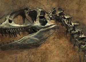 Ученые обнаружили останки погребенных заживо динозавров