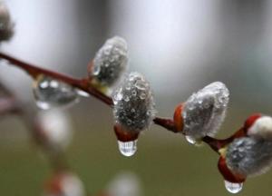 ​В вербное воскресенье в Украине дожди, усиление ветра и заморозки