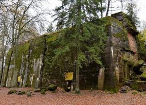 В Польше обнаружили теплицы Гитлера (фото)