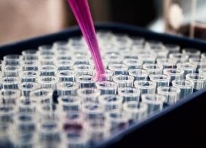 Выявлен новый штамм COVID-19 с летальностью до 82%