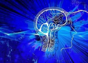 Ученые выяснили, что алкоголь уменьшает мозг