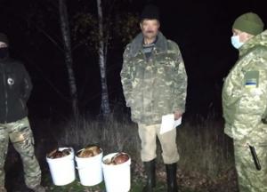 Пограничники изъяли 40 кг грибов из чернобыльской зоны