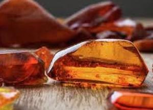 Зеленский подписал закон о добыче янтаря