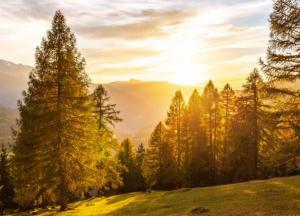 Прогноз погоды на 9 октября: в Украине – солнечно и тепло