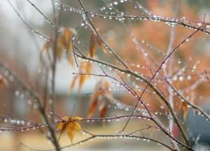 19 ноября: какой сегодня праздник и примета дня 