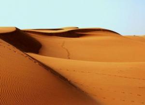 Палеонтологи обнаружили следы в Африке, которым 120 тысяч лет