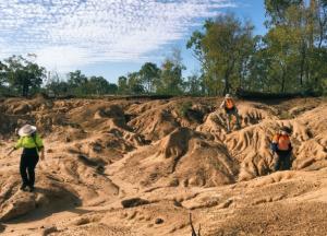 Археологи обнаружили гигантских кенгуру