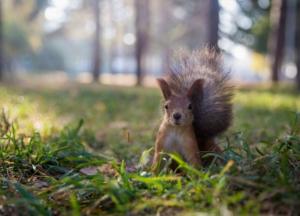 Прогноз погоды на 13 октября: будет тепло и солнечно (карта)