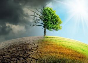 Предсказано изменение климата в ближайшие пять лет