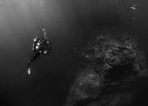 Ученые обнаружили в Тихом океане странных гигантских слизней (фото)