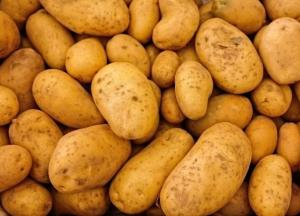 Эксперты рассказали, в каких случаях категорически нельзя есть картошку   