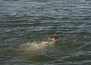 В Житомирской области утонула женщина, катаясь на лодке. Мужчина бросился ее спасать — и тоже утонул