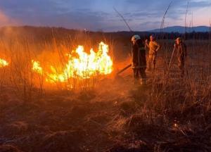 На Закарпатье выгорела Долина нарциссов (фото)