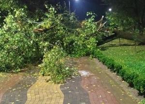 В Карпатах город превратился в Венецию (фото)