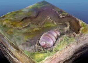 Ученые обнаружили древнейшего предка всех живых существ