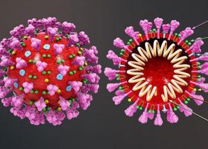 До Украины добрался южноафриканский штамм COVID-19