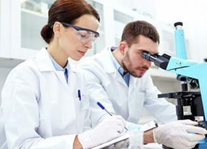 Ученые обнаружили древний коллективный организм 