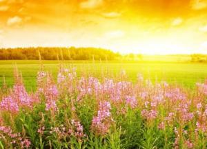 Когда Украину окончательно покинут дожди: синоптик назвал сроки