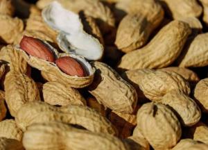 Медики назвали самый полезный орех для детей